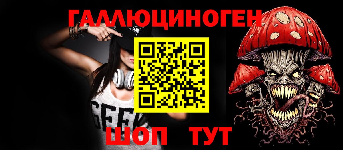 Псилоцибиновые грибы Psilocybe Шадринск