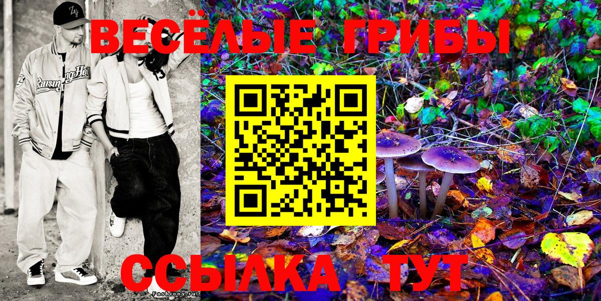 Шадринск  Псилоцибиновые грибы Magic Shrooms  Псилоцибиновые грибы ЛСД  Вход с VPN 