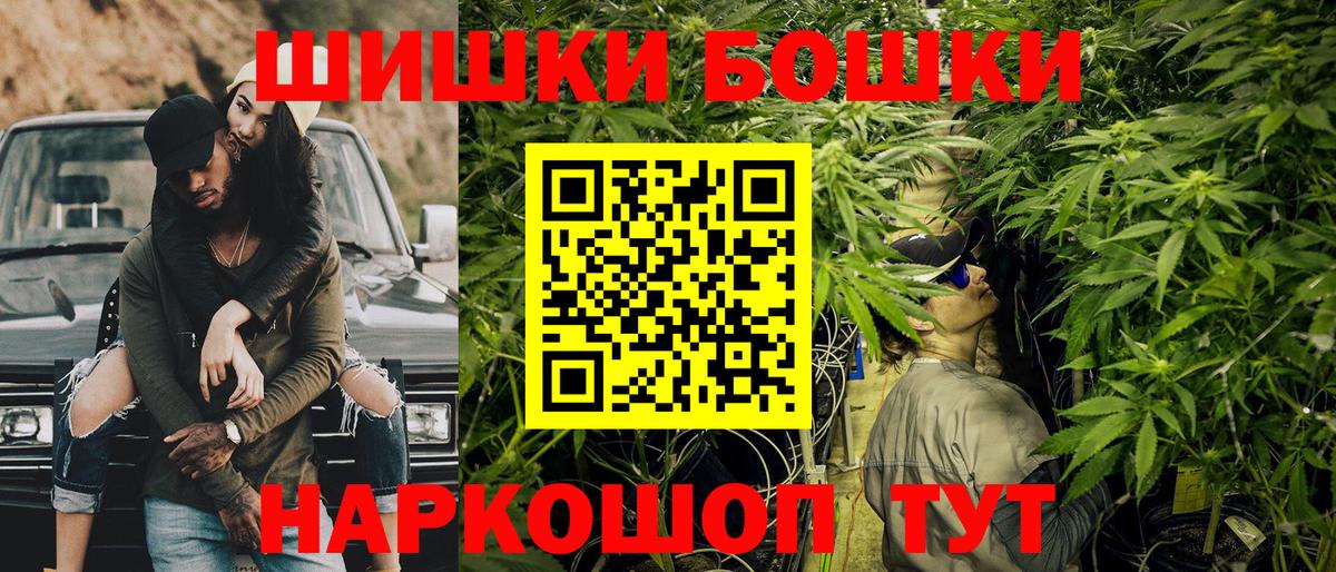 Конопля гибрид Шадринск